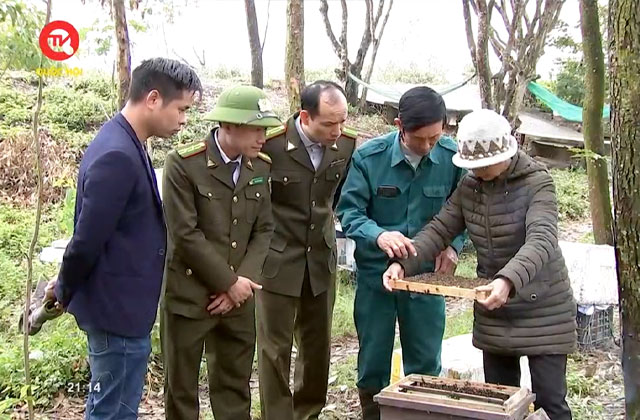 Ninh Bình phát triển thương hiệu mật ong Vườn quốc gia Xuân Thủy thumbnail