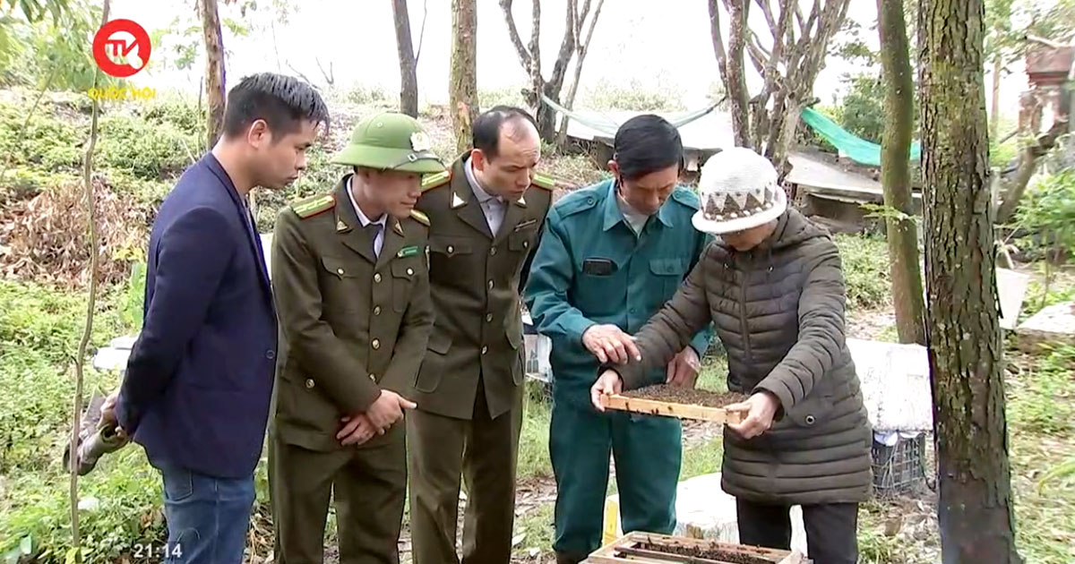 Ninh Bình phát triển thương hiệu mật ong Vườn quốc gia Xuân Thủy cover